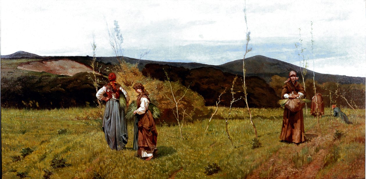Selský macchiaiole na polích během sklizně. Obraz Giovanni Fattori (1825-1908) 1866-1867 Rozm. 90x180 cm Milán, soukromá sbírka od Giovanni Fattori