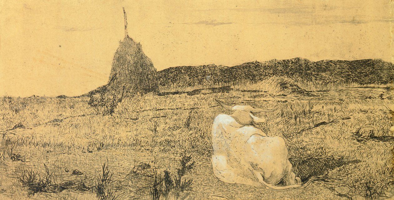 Pio Bove (Zbožný nebo pokojný vůl), Giovanni Fattori (1825-1908), lept od Giovanni Fattori