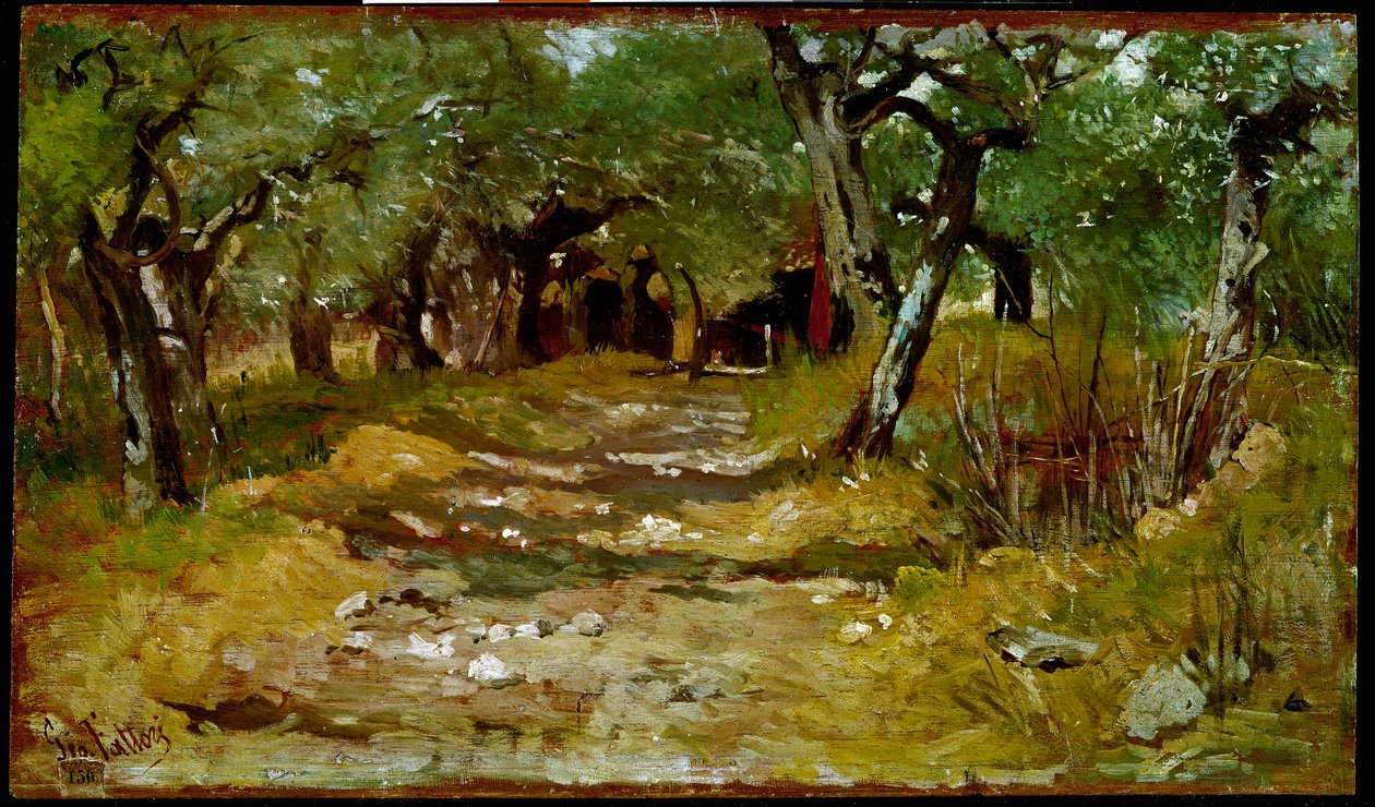 Cesta mezi olivami Obraz Giovanni Fattori (1825-1908) 1890-1900 Sun. 19x33 cm Florencie, Galleria d