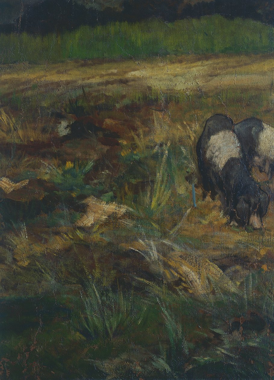 Toskánská Maremma, detail (olej na plátně) od Giovanni Fattori