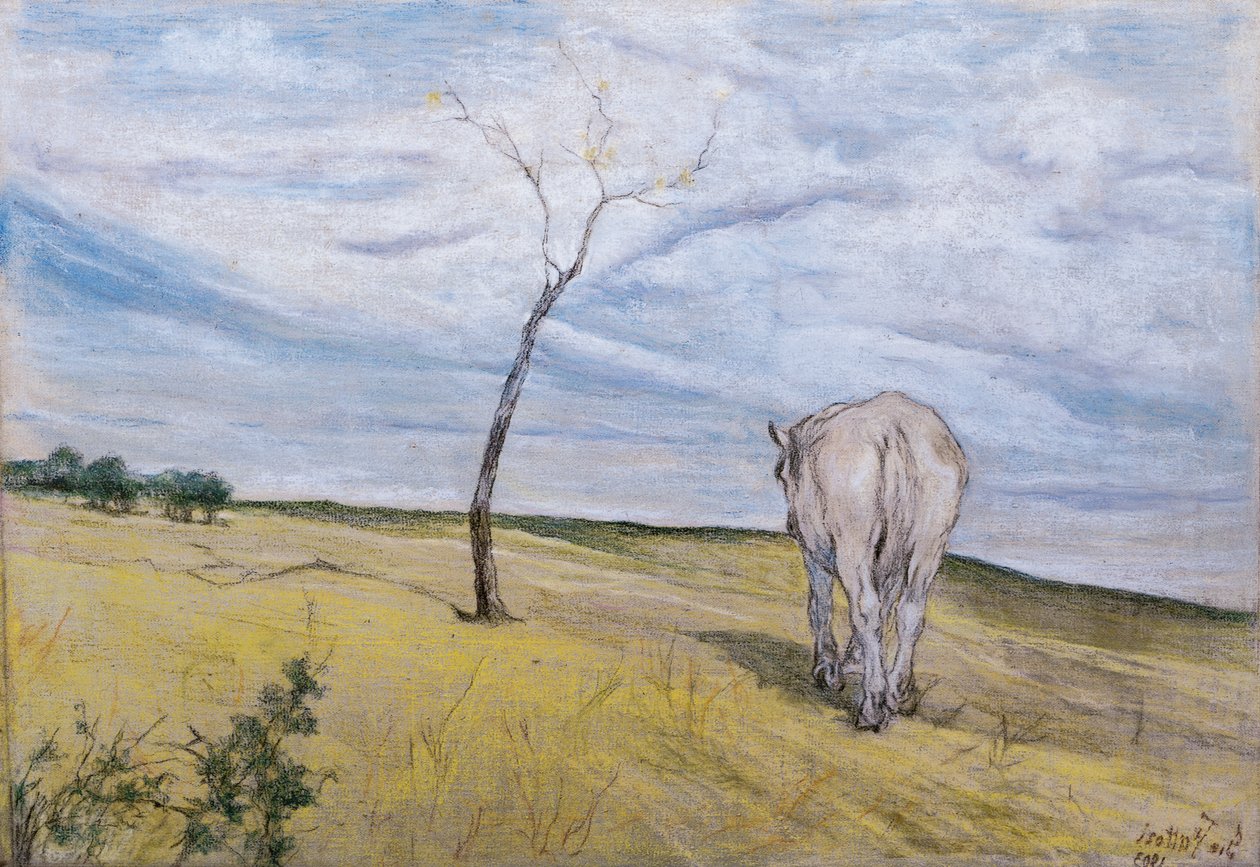 Bílý kůň, Giovanni Fattori (1825-1908) od Giovanni Fattori