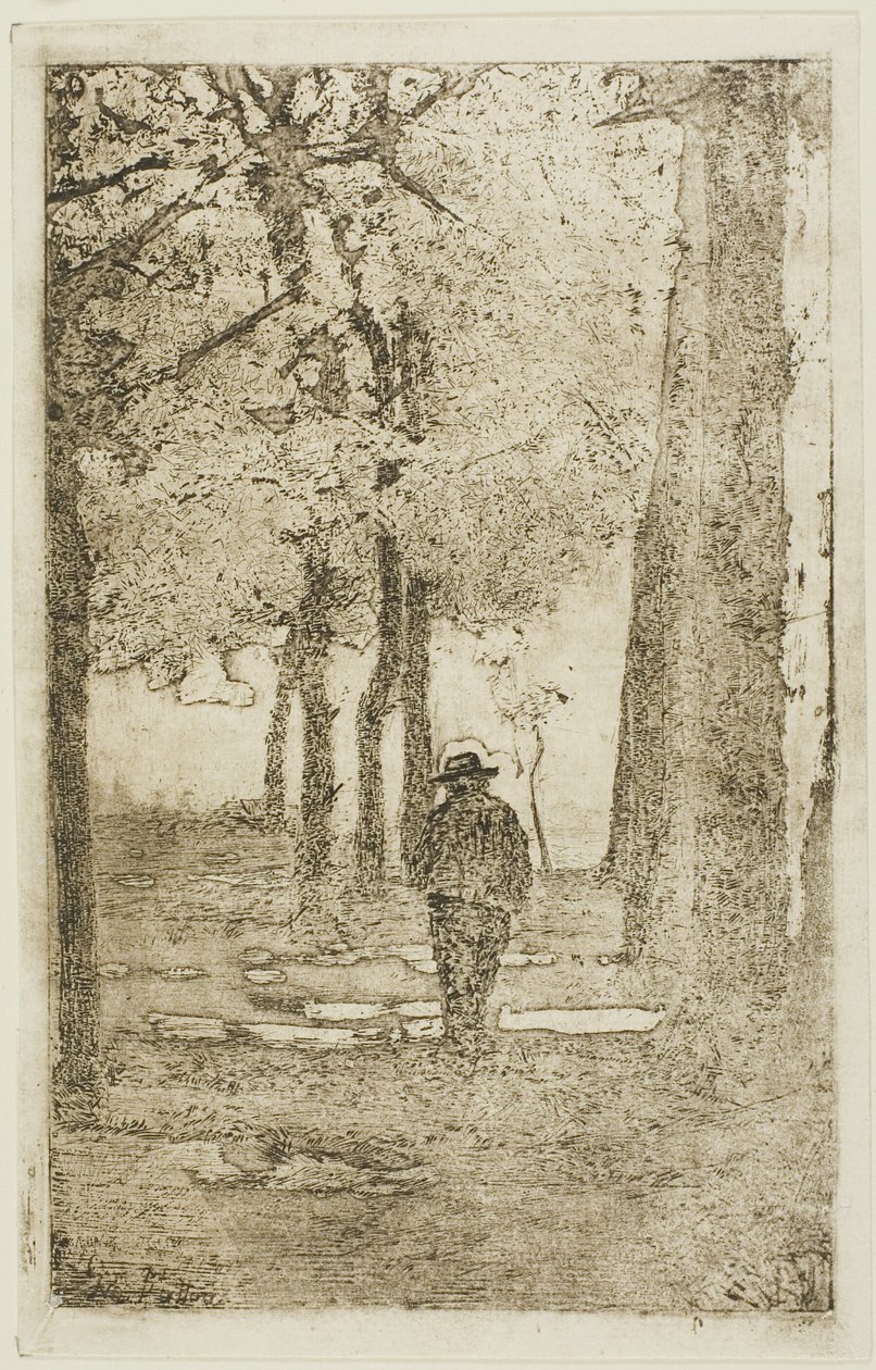 Zalesněná procházka s obrázkem od Giovanni Fattori