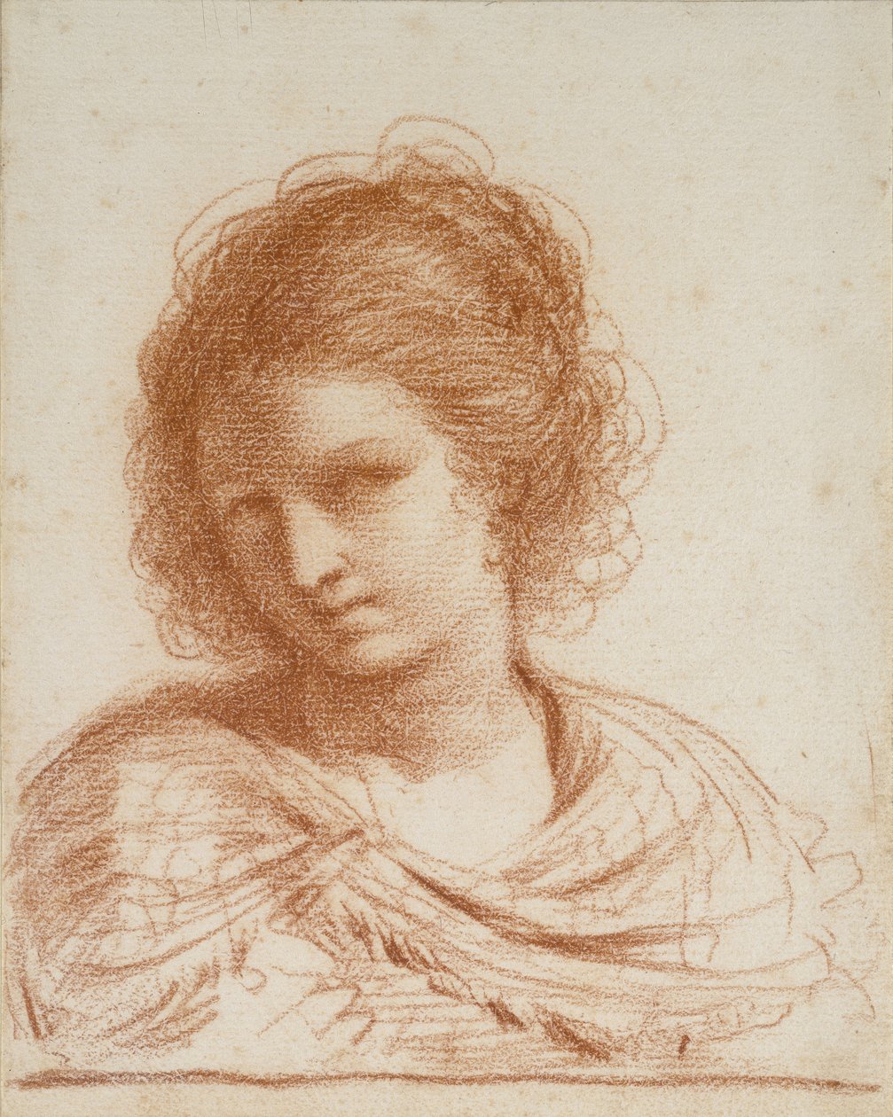 Hlava mladé ženy, 1650 - 1666 (červená křída na bílém papíře) od Giovanni Francesco Barbieri