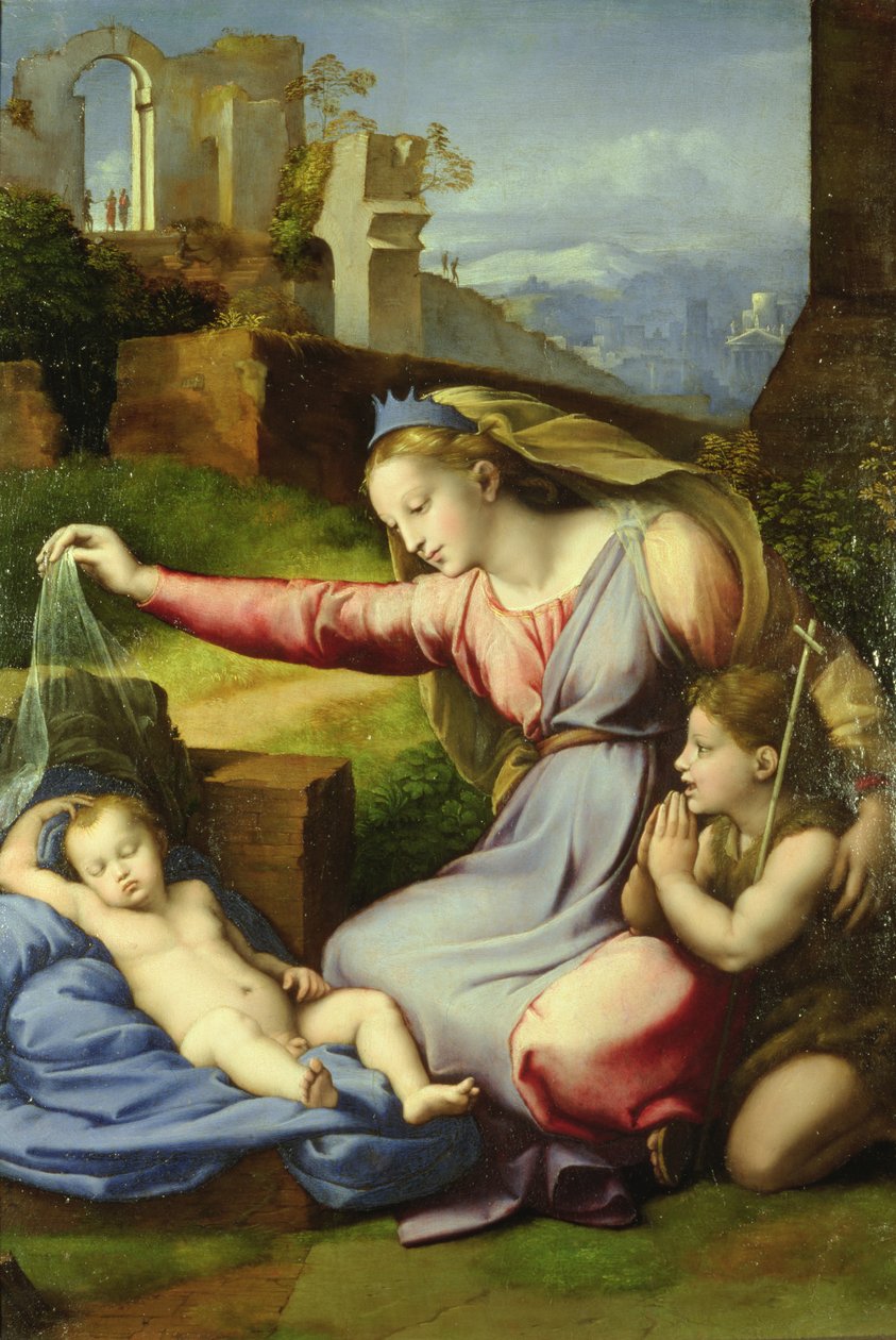 Virgin of the Veil (The Virgin of the Blue Diadém) od Giovanni Francesco Penni