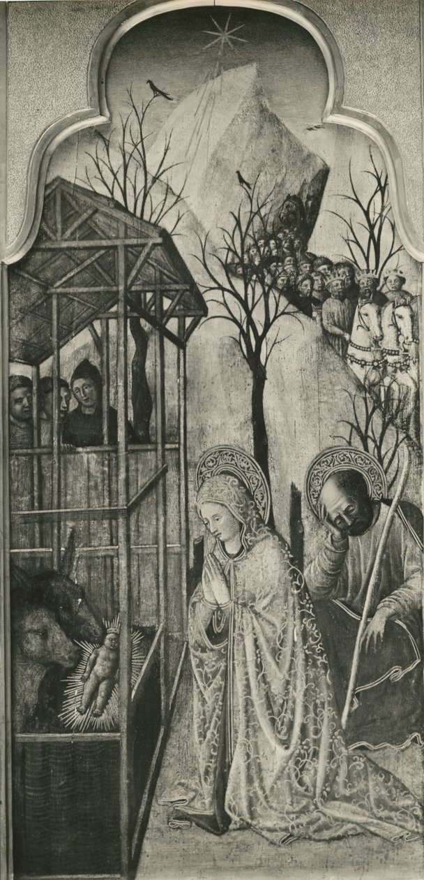 Cyklus života Panny Marie, Narození Páně, kolem 1445 (olej na topolové desce) od Giovanni Francesco da Rimini