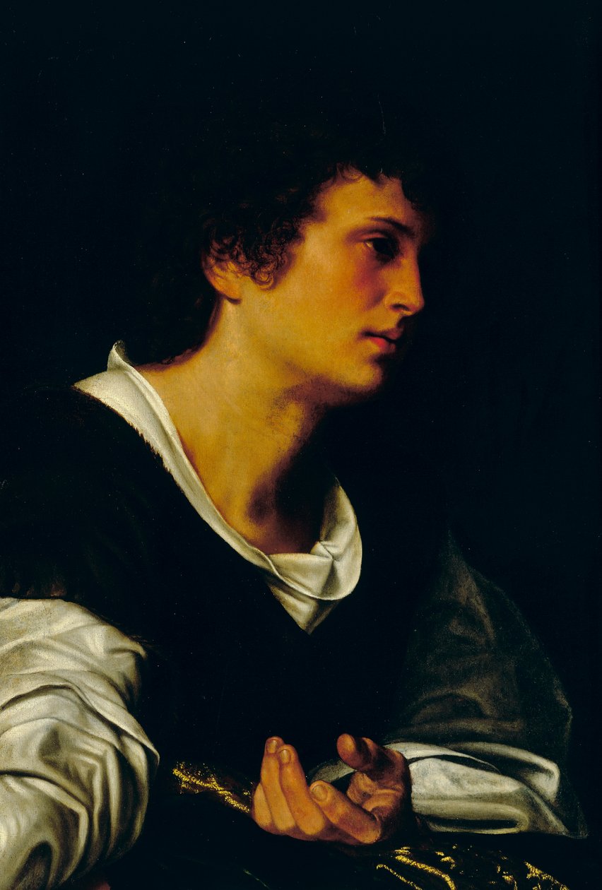 Postava mladého muže, cca 1530 (olej na plátně) od Giovanni Girolamo Savoldo