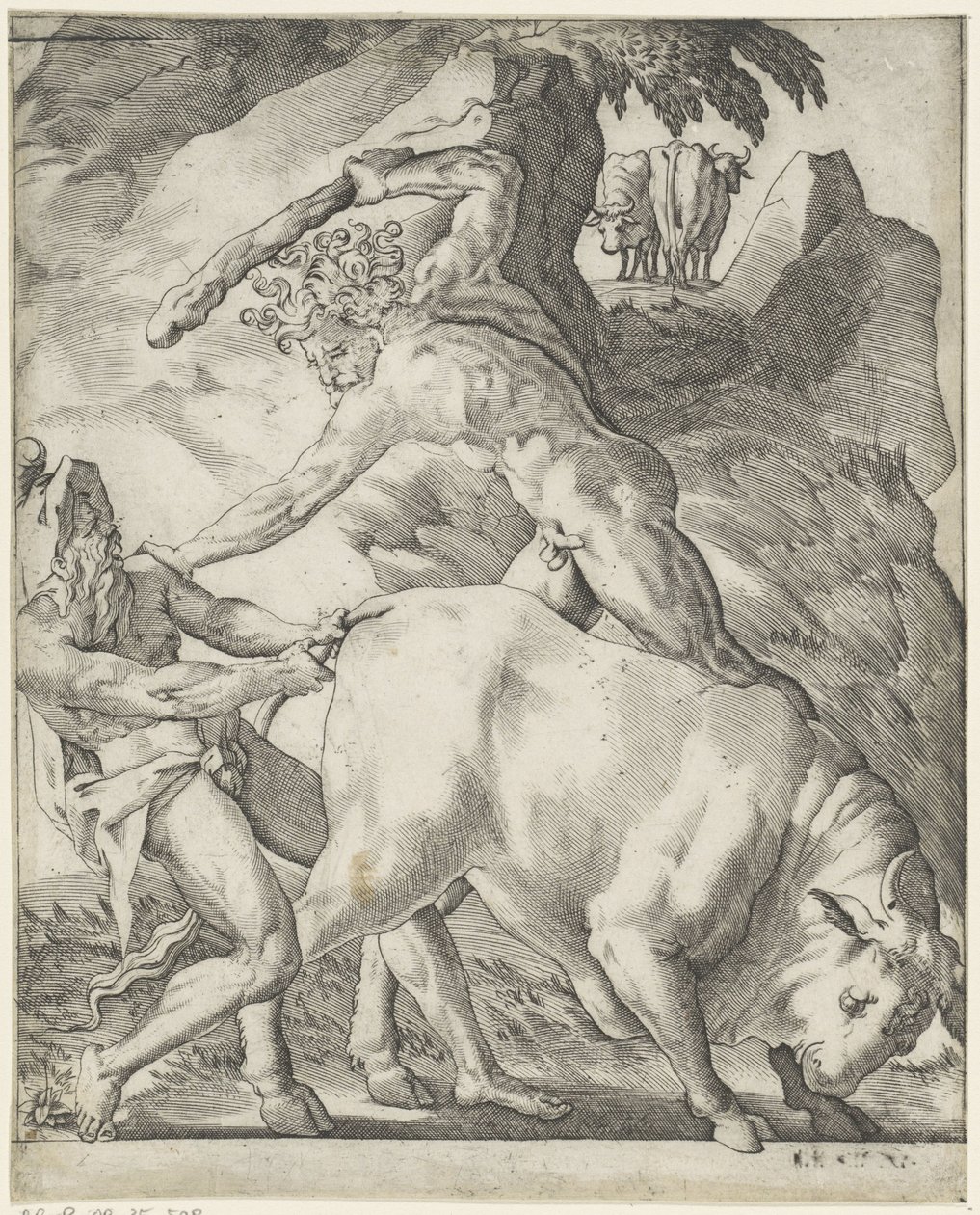 Hercules bojuje s Cacusem Scény s Herkulesem (název série) od Giovanni Jacopo Caraglio