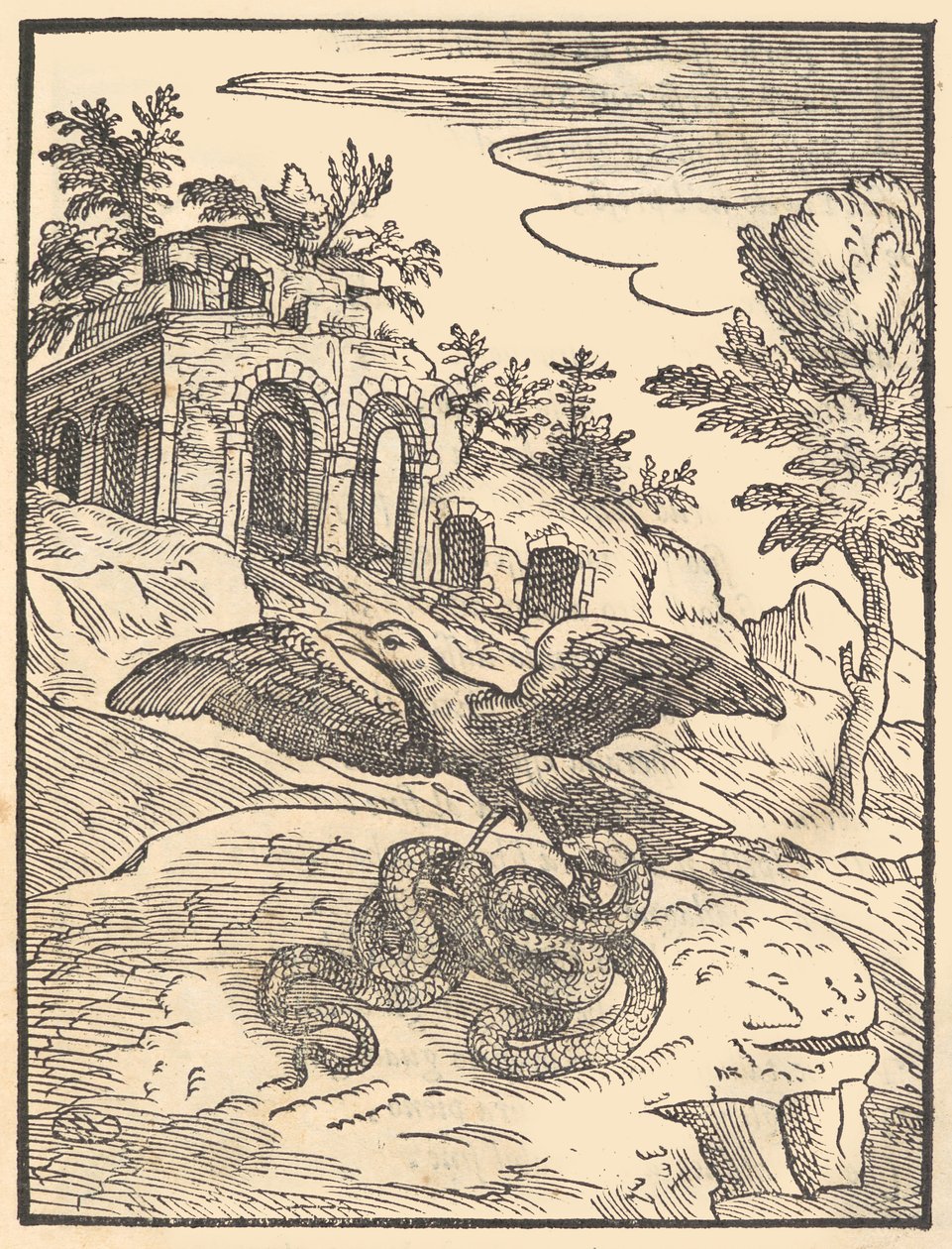 Pták a had, 1570. od Giovanni Maria Verdizotti