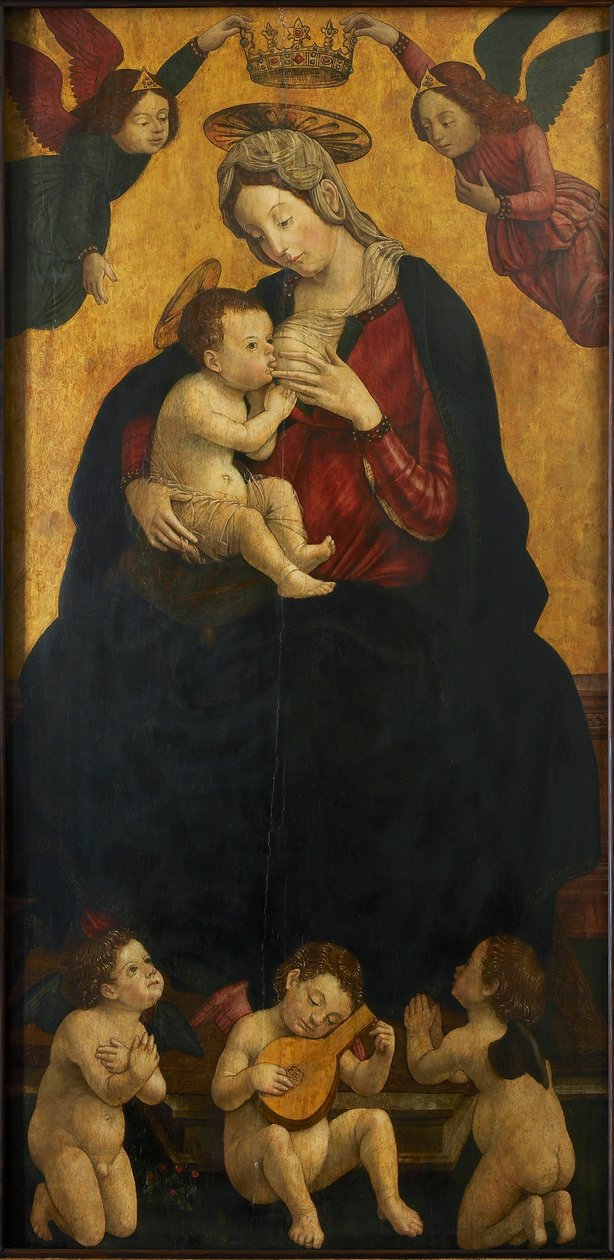 Madona z mléka s muzicírujícími anděly, 1490-1500. od Giovanni Martino Spanzotti