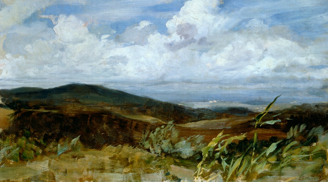 Krajina od Giovanniho Muzzioliho (1854-1894), olej na plátně, 39x68 cm od Giovanni Muzzioli