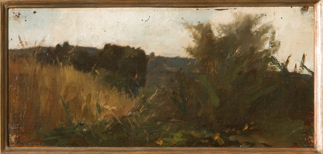 Studium vegetace (olejová malba) od Giovanni Muzzioli