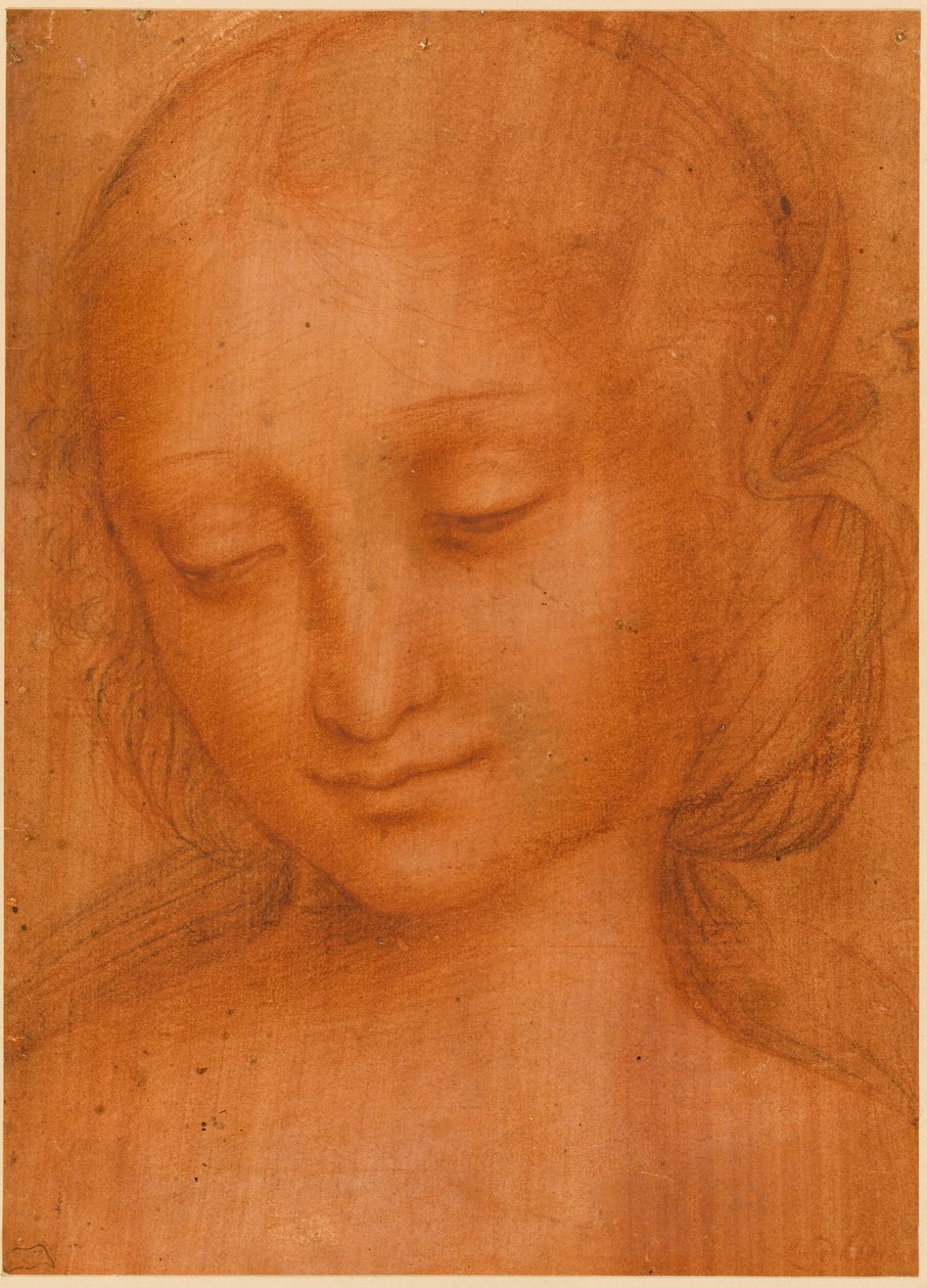 Hlava ženy od Giovanni Pietro Rizzoli Giampietrino