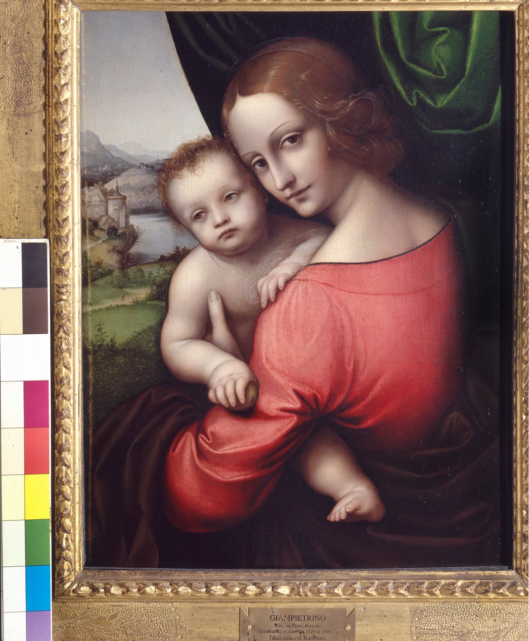 Madonna a dítě (Naše paní z jablka), kolem 1525 (olej na panelu) od Giovanni Pietro Rizzoli Giampietrino