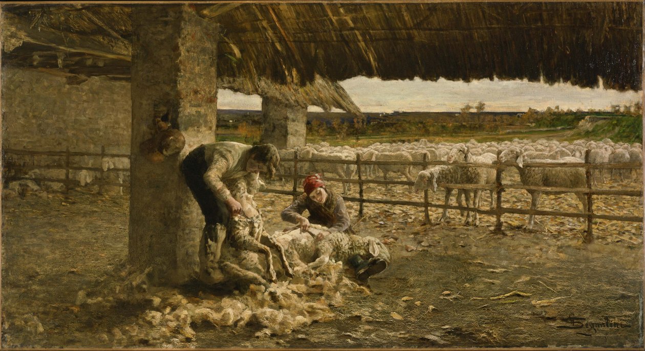 Střih ovcí, 1883-1884 od Giovanni Segantini