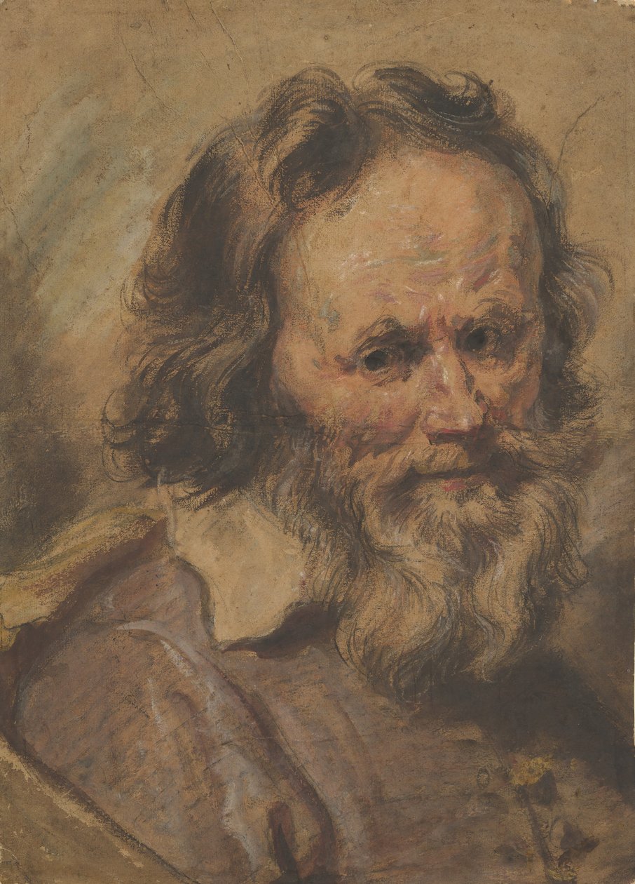 Hlava vousatého muže, 1600-1630. od Giovanni Serodine