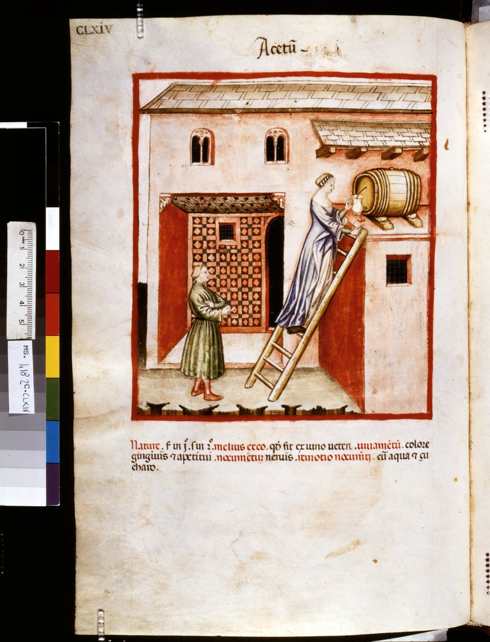 Theatrum sanitatis, Ububchasym de Baldach: "Acetum", první desetiletí 14. století (miniatura) od Giovannino de