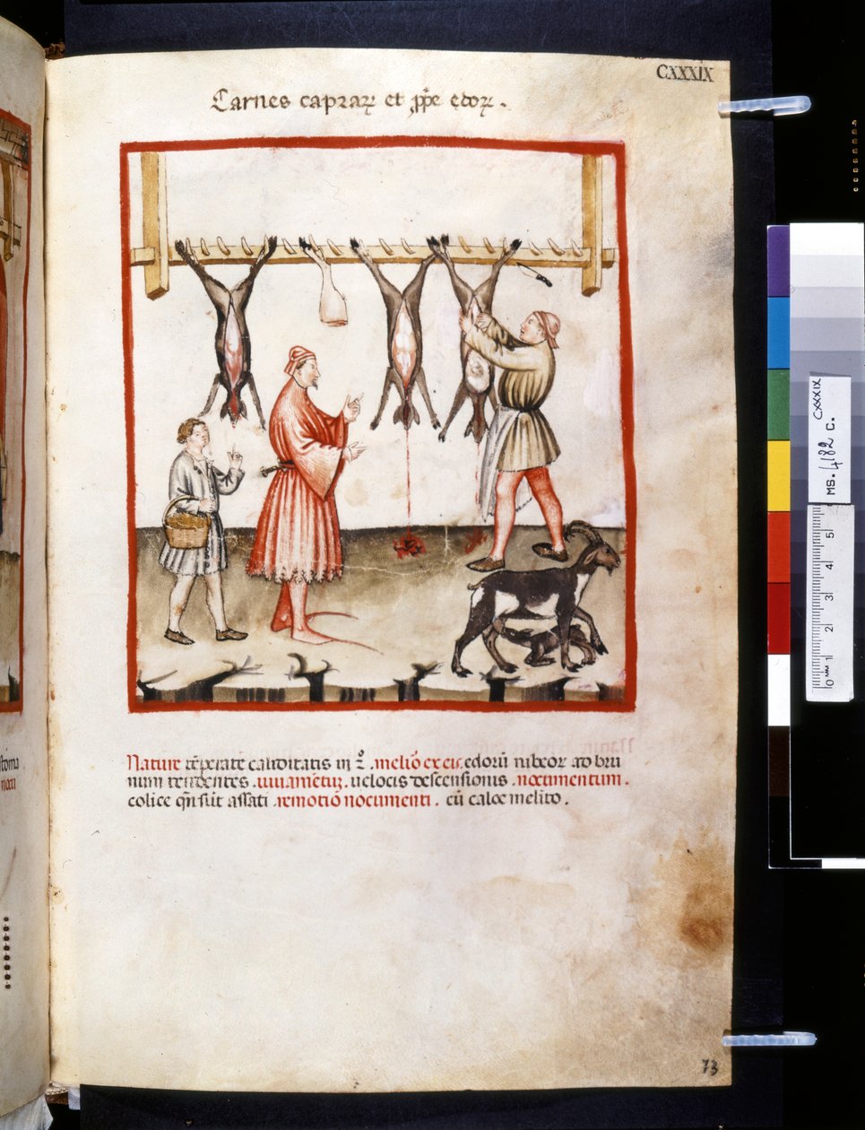Theatrum sanitatis od Ububchasym de Baldach: "Carnes Caprarum et Pulpe Edorum", první desetiletí 14. století (miniatura) od Giovannino de