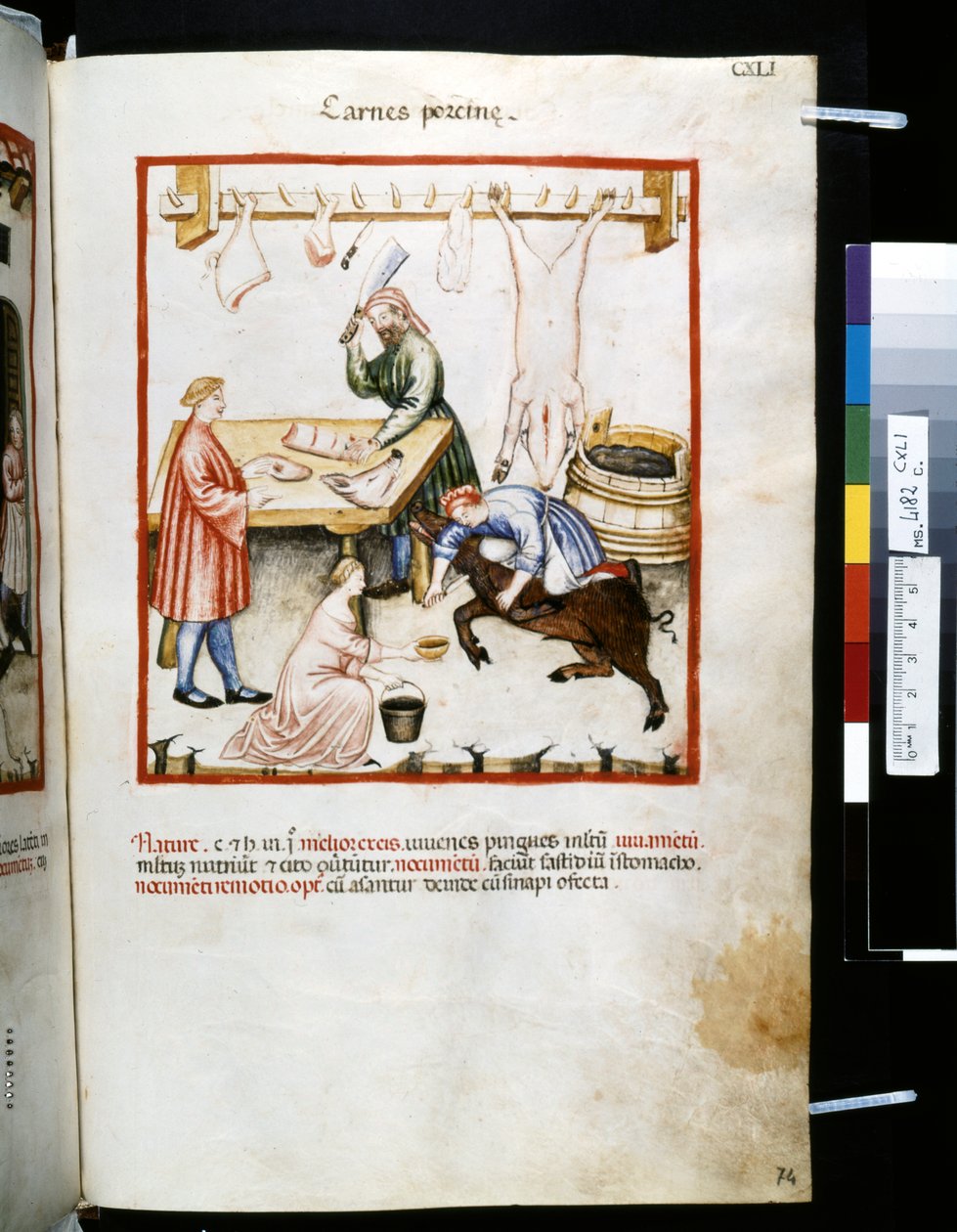 Theatrum sanitatis od Ububchasym de Baldach: "Carnes Porcinae", první desetiletí 14. století (miniatura) od Giovannino de