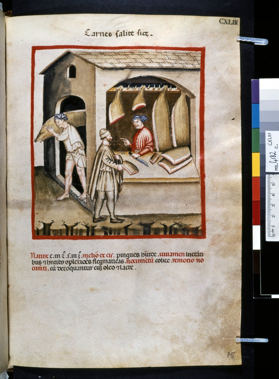 Theatrum sanitatis od Ububchasym de Baldach: "Carnes Salite Si ce", první desetiletí 14. století (miniatura) od Giovannino de