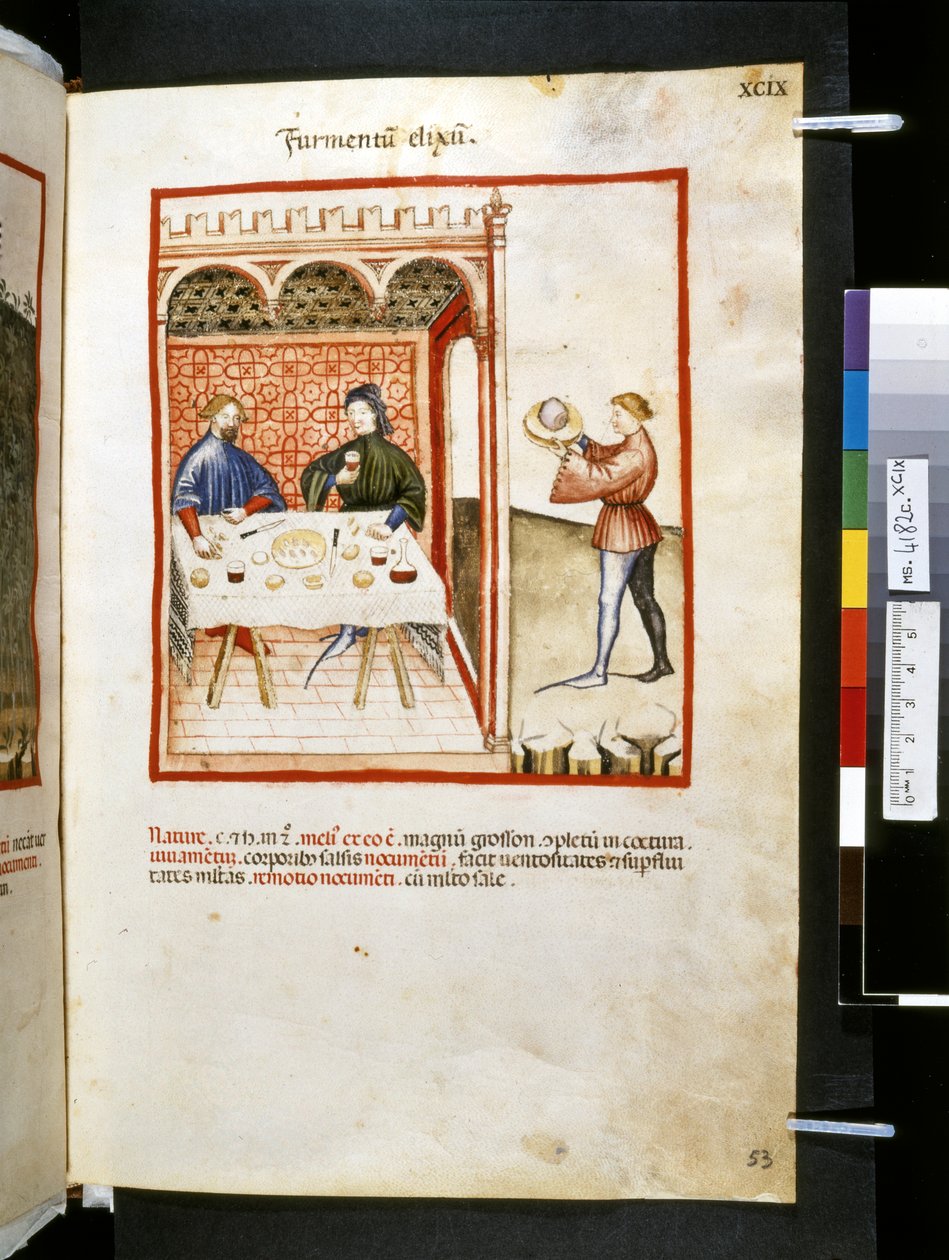 Theatrum sanitatis od Ububchasym de Baldach: "Furmentum Elixum", první desetiletí 14. století (miniatura) od Giovannino de