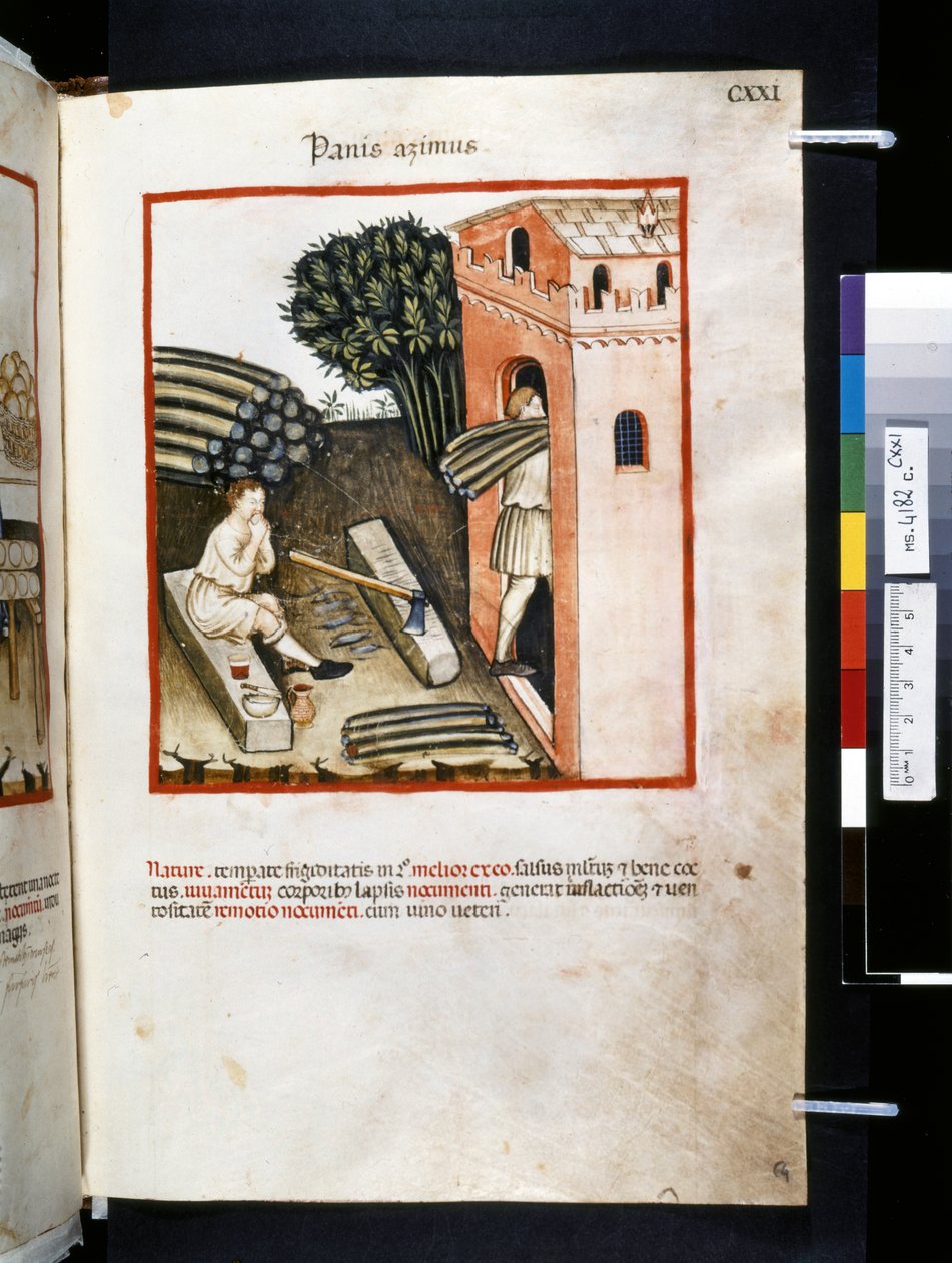 Theatrum sanitatis, Ububchasym de Baldach: "Panis Azimus", první desetiletí 14. století (miniatura) od Giovannino de