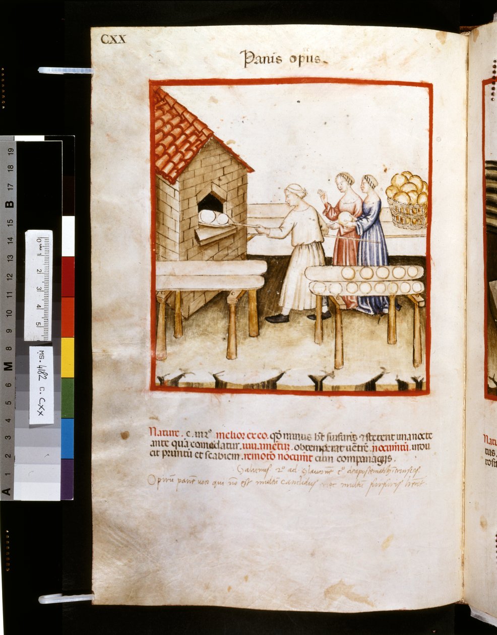 Theatrum sanitatis od Ububchasym de Baldach: "Panis Op Us", první desetiletí 14. století (miniatura) od Giovannino de