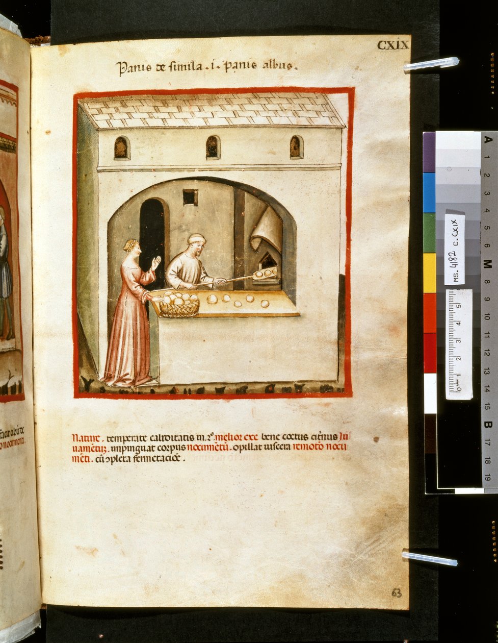 Theatrum sanitatis, Ububchasym de Baldach: "Panis de Simila", první desetiletí 14. století (miniatura) od Giovannino de