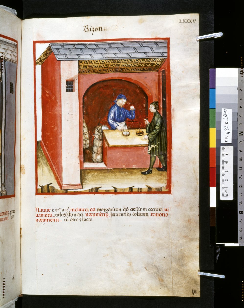 Theatrum sanitatis od Ububchasym de Baldach: "Rizon", první desetiletí 14. století (miniatura) od Giovannino de