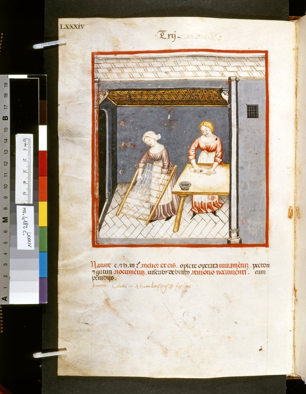 Theatrum sanitatis od Ububchasym de Baldach: "Trij", první desetiletí 14. století (miniatura) od Giovannino de