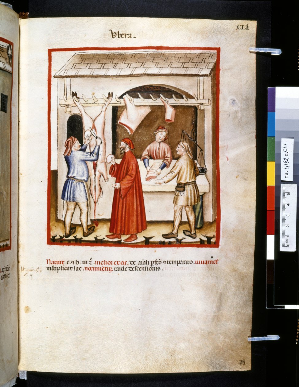 Theatrum sanitatis od Ububchasym de Baldach: "Ubera", první desetiletí 14. století (miniatura) od Giovannino de