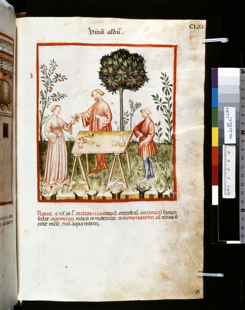 Theatrum sanitatis od Ububchasym de Baldach: "Vinum Album", první desetiletí 14. století (miniatura) od Giovannino de