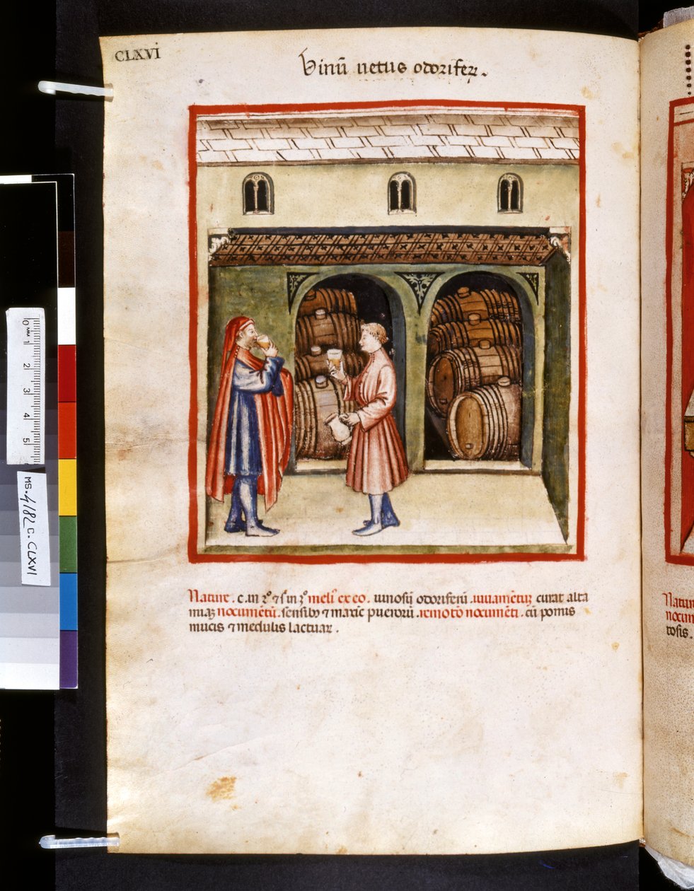 Theatrum sanitatis od Ububchasym de Baldach: "Vinum Vetus Odoriferum", první desetiletí 14. století (miniatura) od Giovannino de