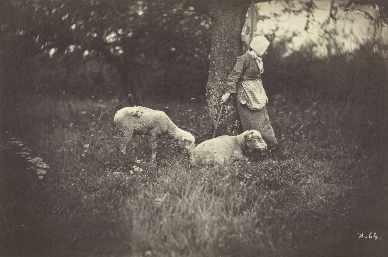Pastýřka opřená o strom se dvěma ovcemi, 1870. od Giraudon