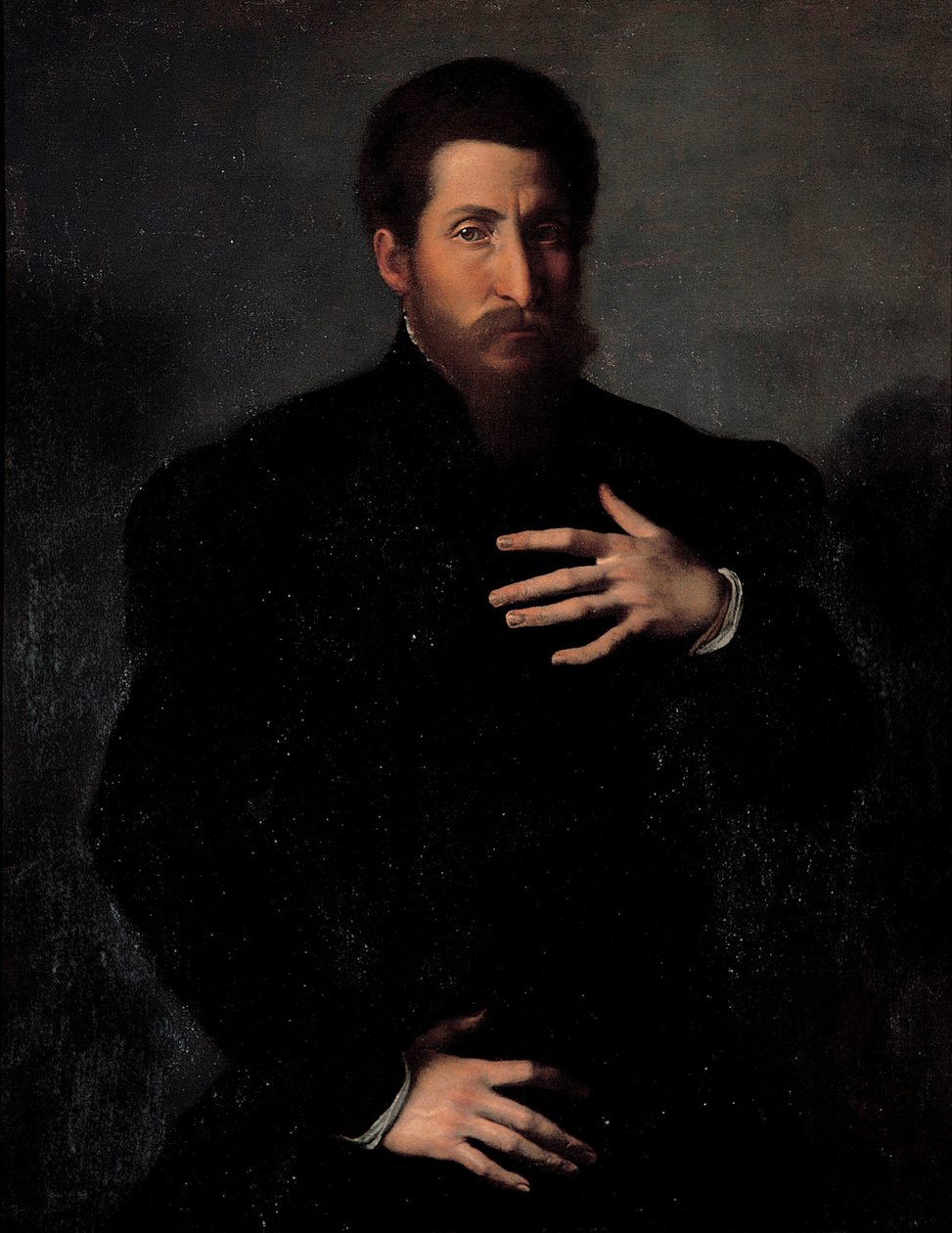 Portrét mužného muže od Girolamo da Carpi