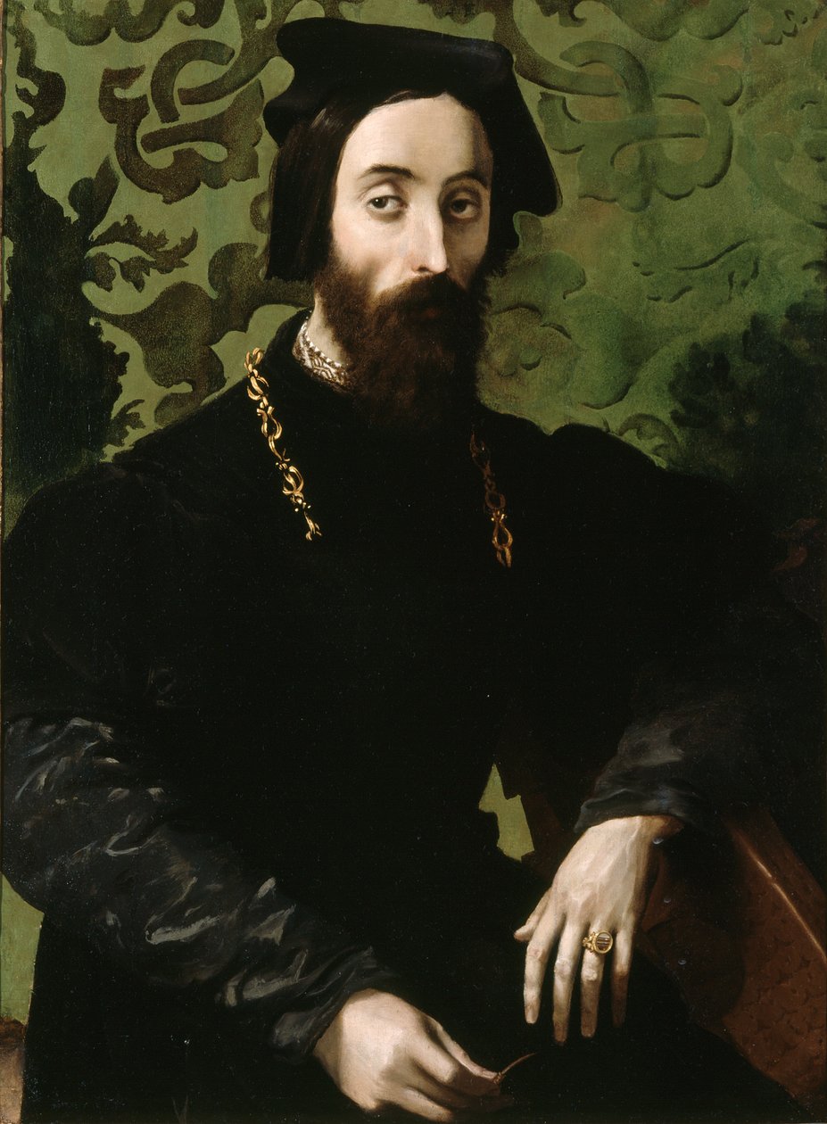 Portrét hudebníka, asi 1540 (olej na desce) od Girolamo Mazzola (attr.) Bedoli