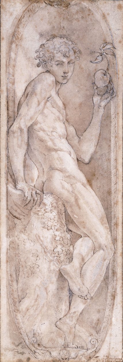 Adam drží jablko, sedící, v medailonu, kolem 1547-1553 od Girolamo Mazzola Bedoli