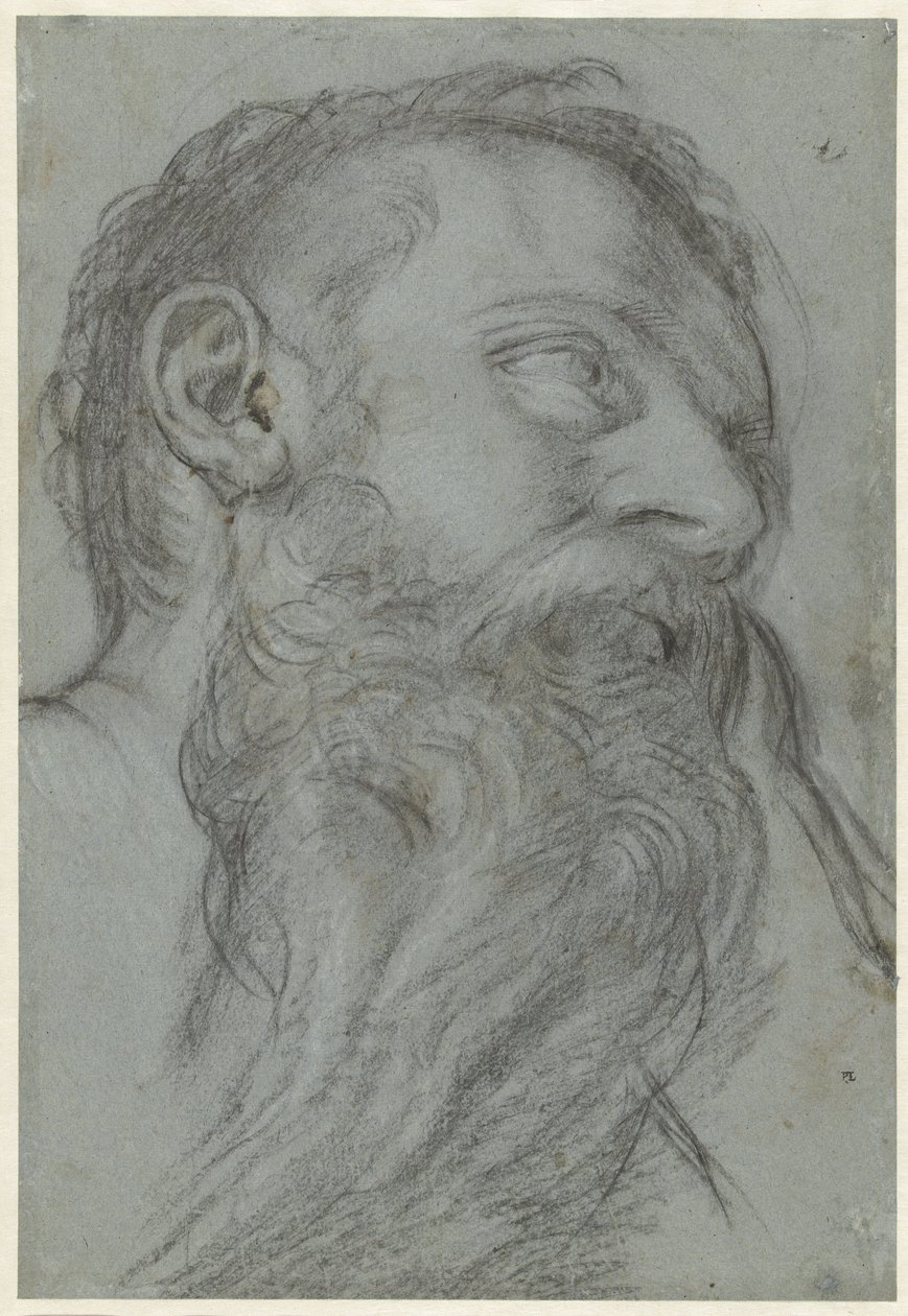 Studie hlavy proroka od Girolamo Muziano