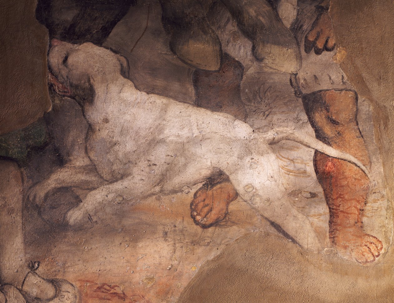Postava psa, detail z fresky Girolamo Romanino (cca 1484-1566), kostel Sant