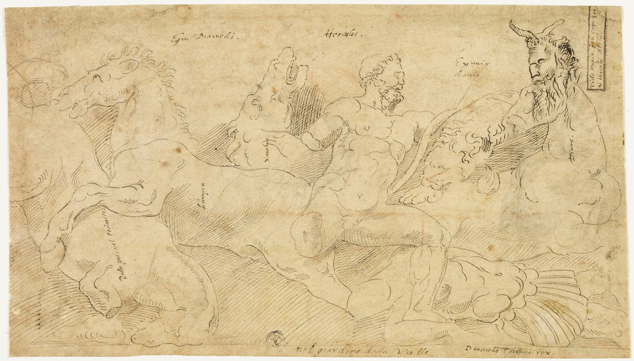 Antický reliéf s Herkulem a Diomédovými klisnami (recto); dvě skici: Satyr s drapérií a okřídlená ženská postava (verso) od Girolamo da Carpi