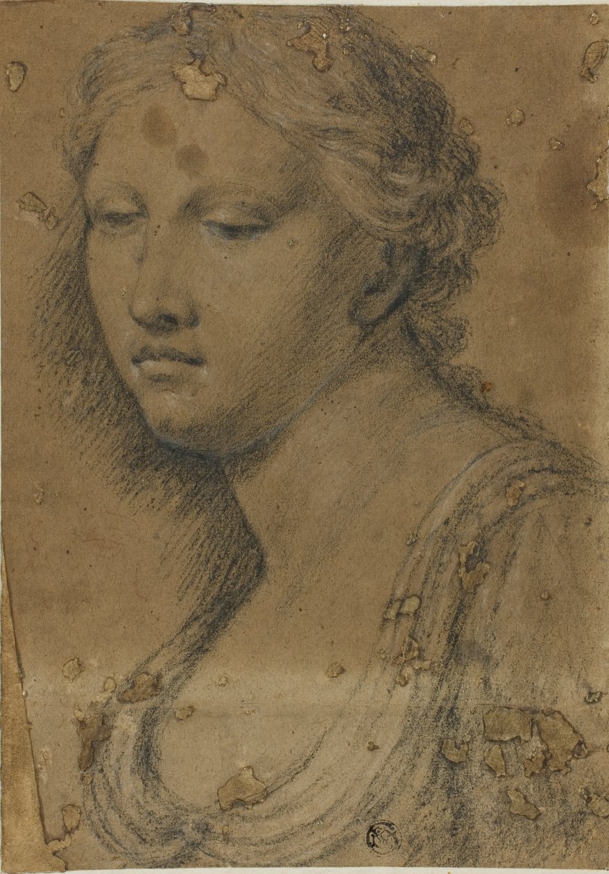 Busta ženy od Girolamo da Carpi