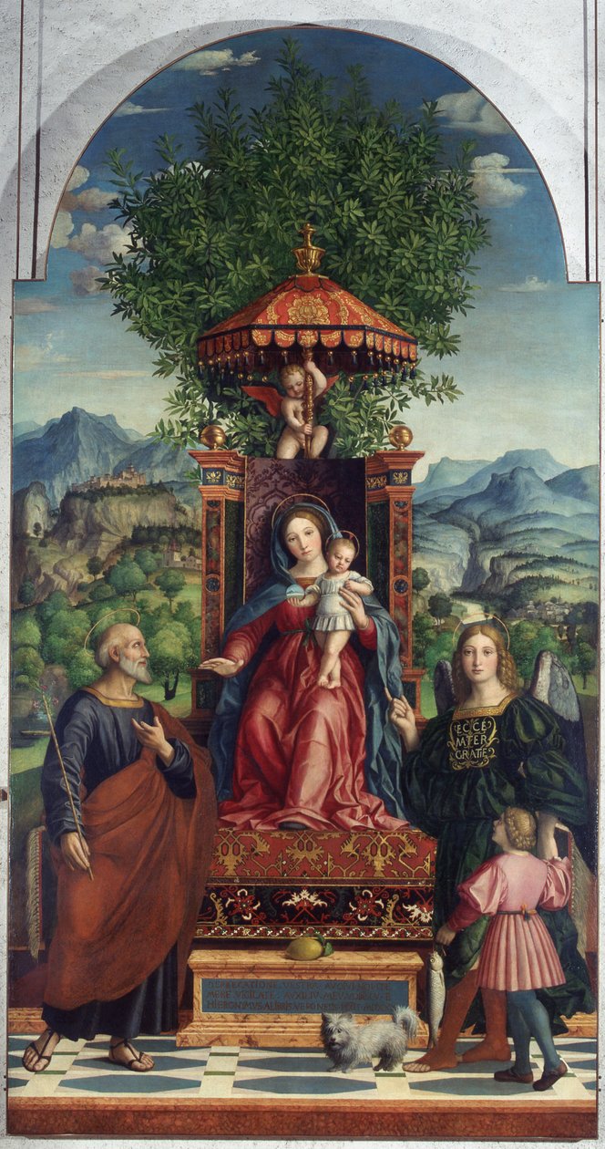 Madona s deštníkem od Girolama dai Libri, Muzeum Castelvecchio od Girolamo dai Libri