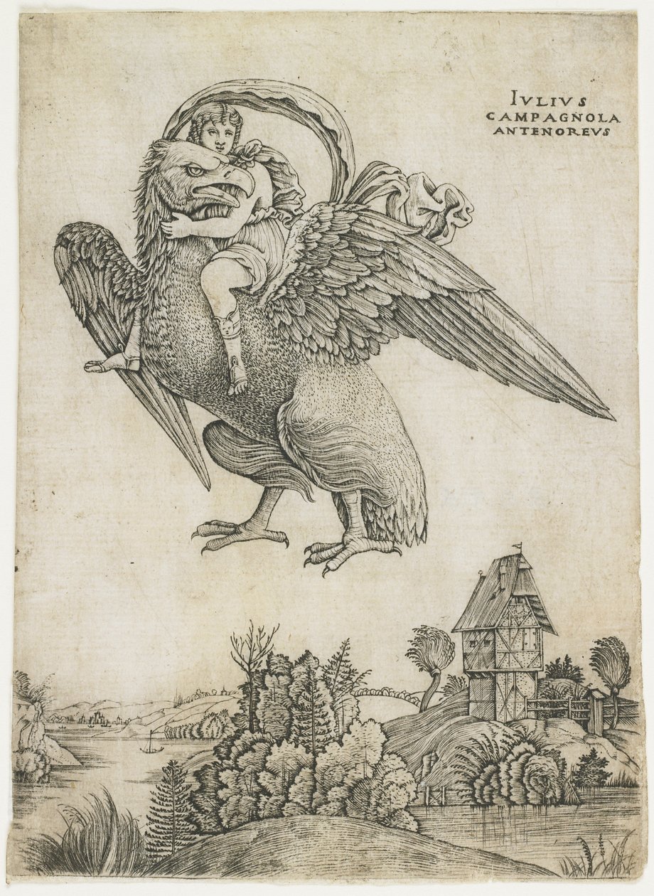 Ganymede, c. 1500-1505 od Giulio Campagnola