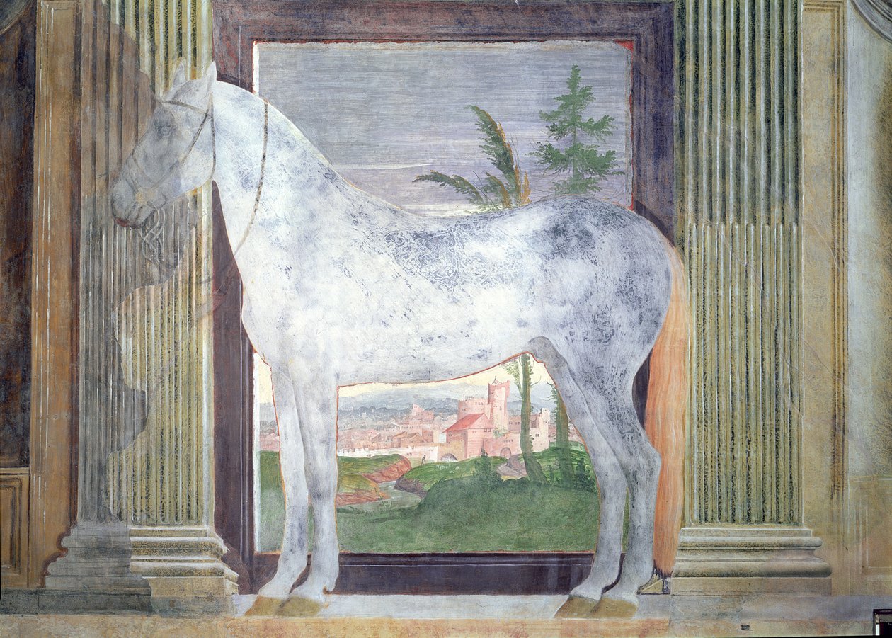 Sala dei Cavalli, detail zobrazující portrét šedého koně ze stájí Ludovica Gonzagy III z Mantovy, 1528 od Giulio Romano