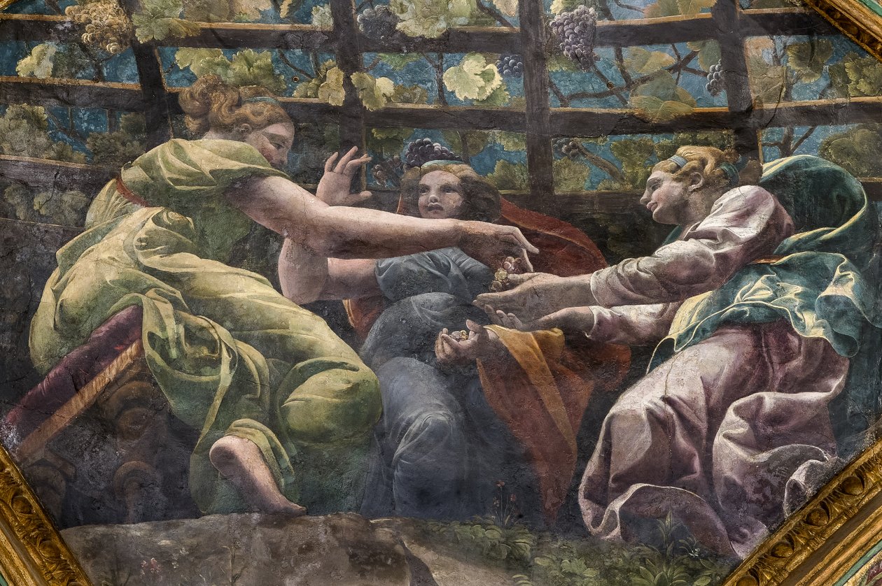 Detail klenby s mladými ženami a hrozny, Komnata Amorů a Psyché (Sala di Amore e Psiche) od Giulio (and workshop) Romano