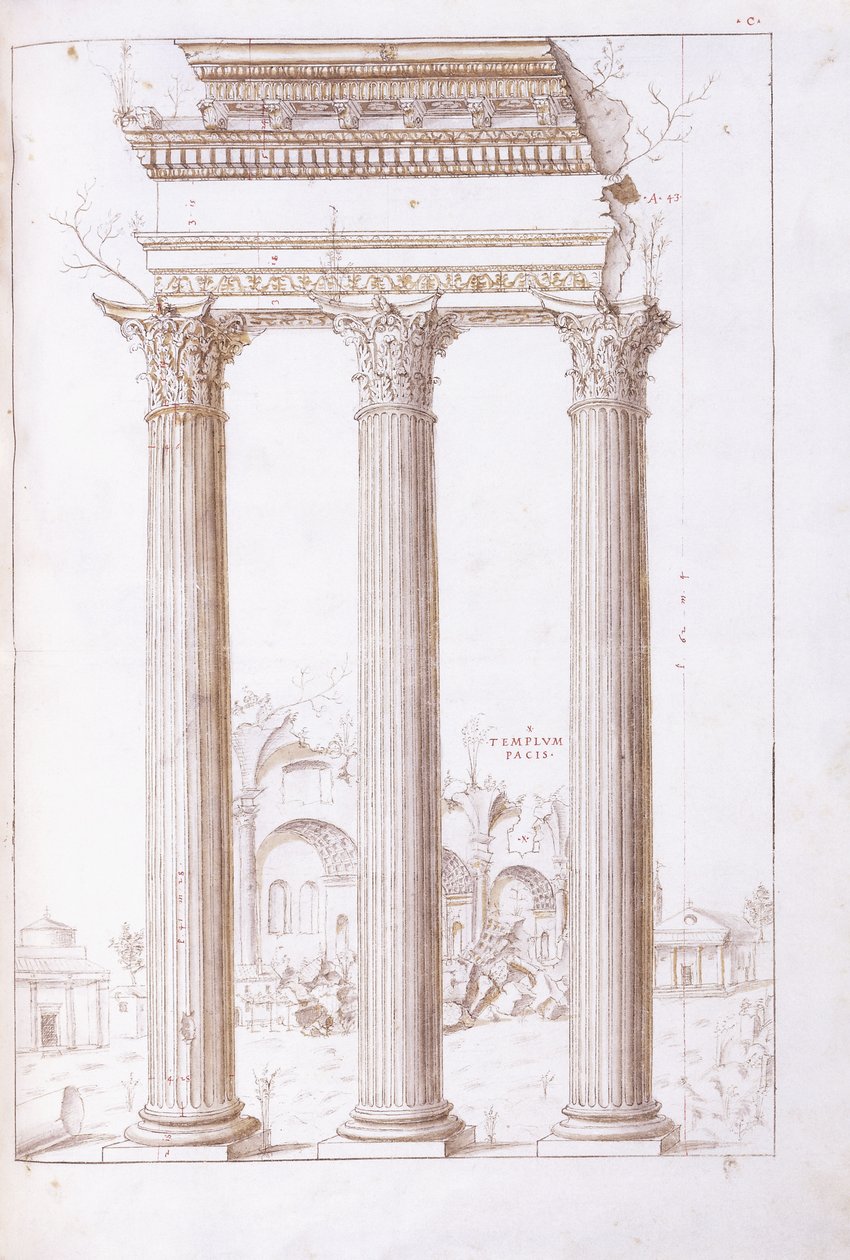 Sloupce chrámu Castora a Polluxa, s chrámem míru v pozadí, kolem roku 1550 (originální kresba černou křídou, perem a hnědým inkoustem) od Giulio (circle of) Romano