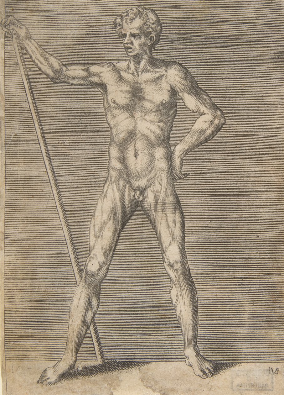 Stažený muž při pohledu zepředu, držící hůl, ca. 1531-76. od Giulio Bonasone