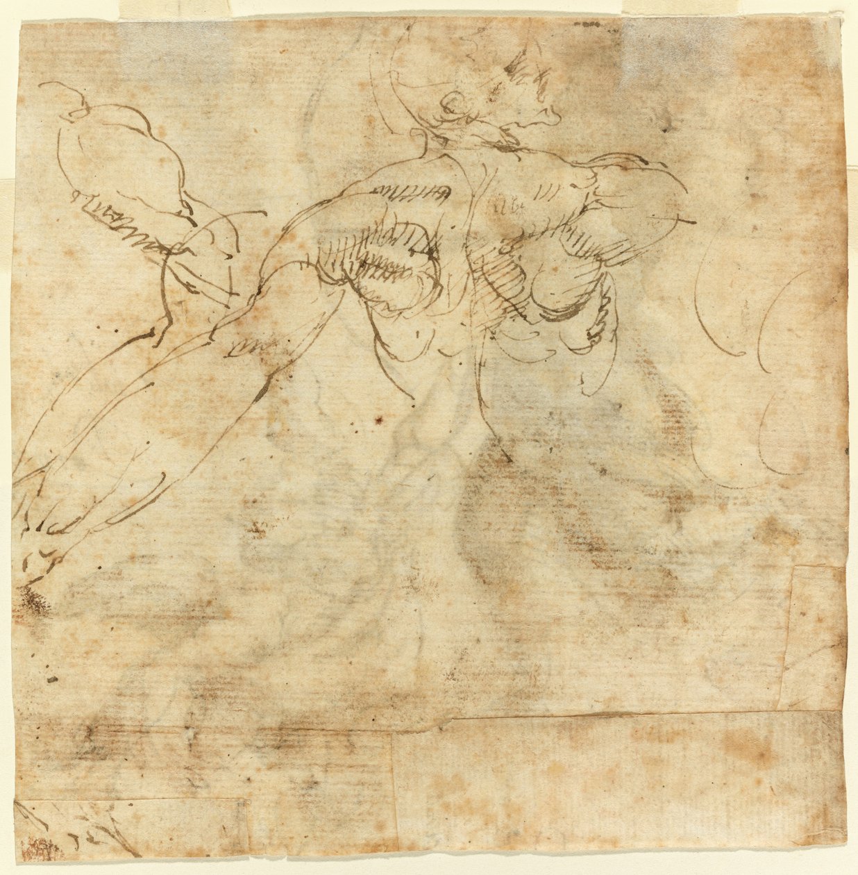 Studie zad od Giulio Cesare Procaccini