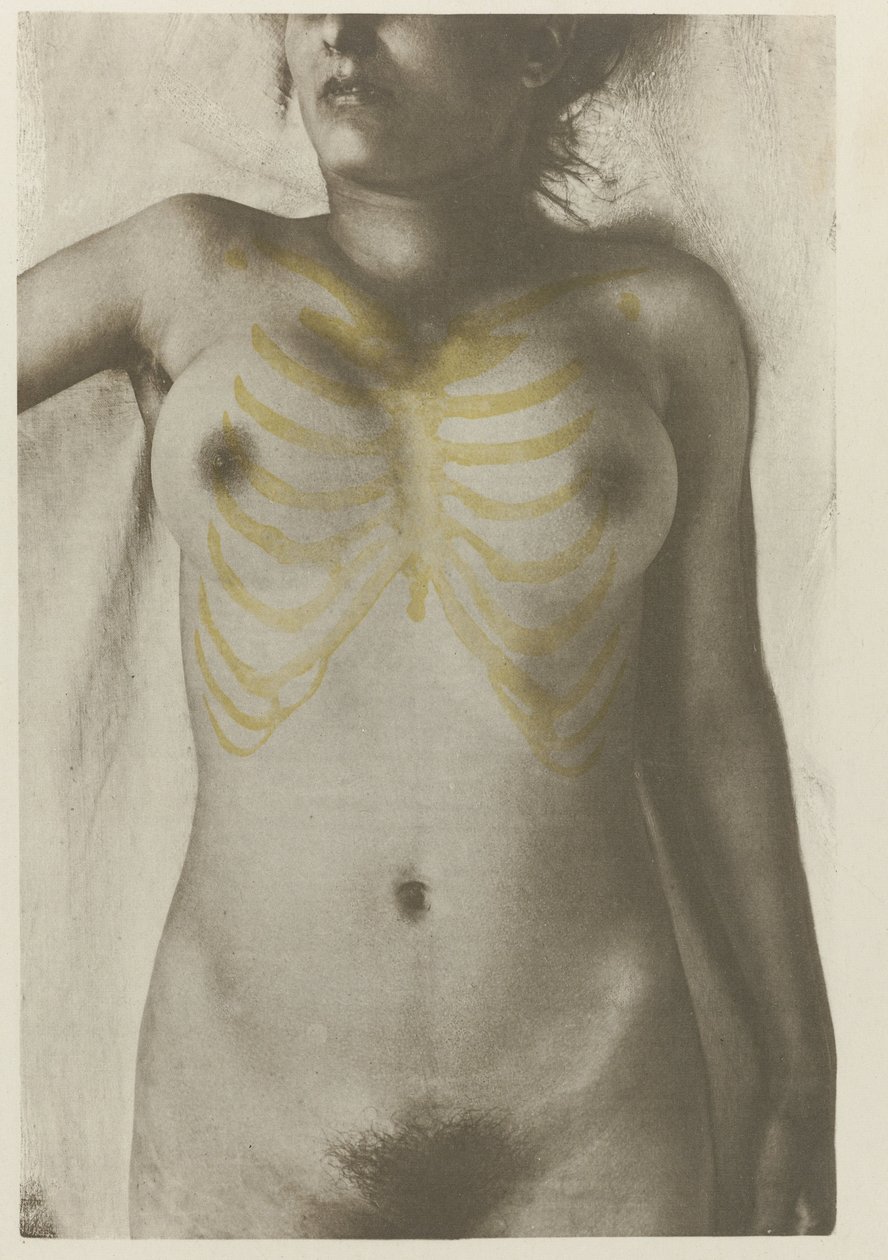 Anatomické foto van een vrouwelijk lijk: 