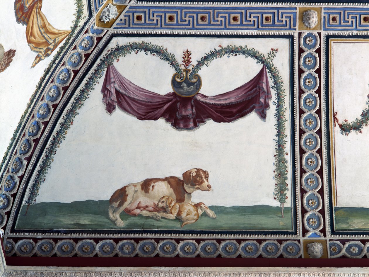 Camera con Fregio di Amorini Komnata Amorova vlysu detail psa a štěněte, freska z roku 1520 od Giulio Romano