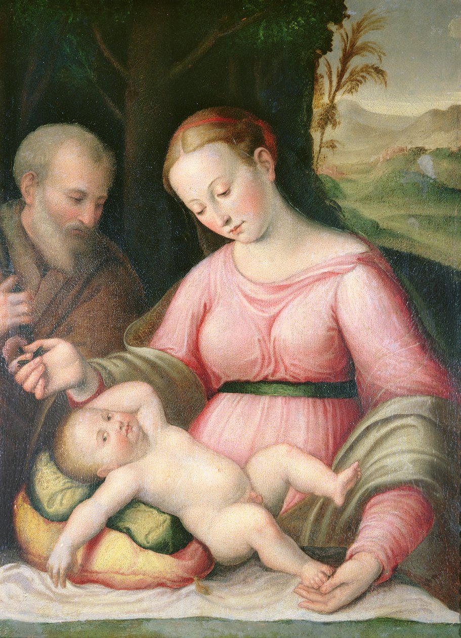 Svatá rodina v hornaté krajině od Giulio Romano